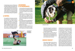 Les 5 sports canins gagnants