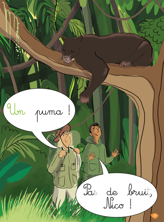 La jungle (son UN), niveau 2 - J'apprends à lire Montessori