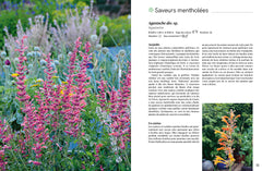 Toutes les saveurs du jardin