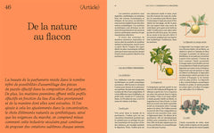 Parfum, de l'essence au flacon: De l'essence au flacon