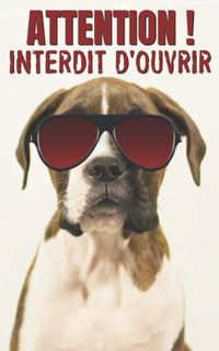 Attention ! Interdit d'ouvrir: carnet de mots de passe | Vos adresses internet et codes secrets en sécurité - français, petit format, index alphabétique - couverture humour chien