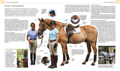 Manuel complet de l'équitation