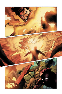Dawn of X Vol. 13