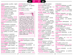 Le routard guide de conversation portugais