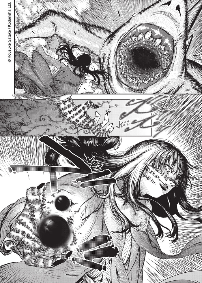 The Witch and the Beast T01