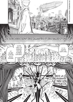 The Witch and the Beast T01