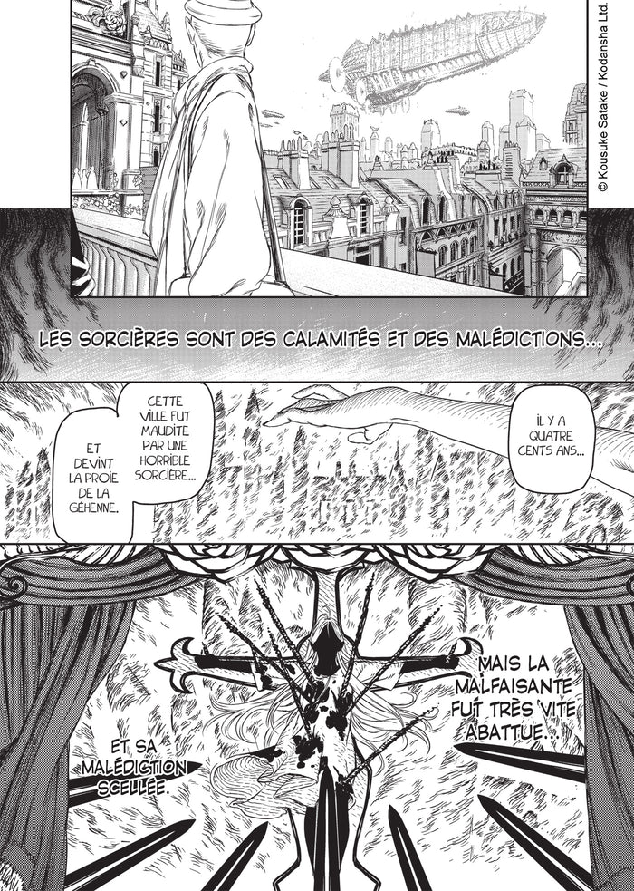 The Witch and the Beast T01