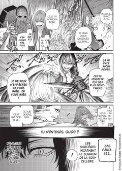 The Witch and the Beast T01