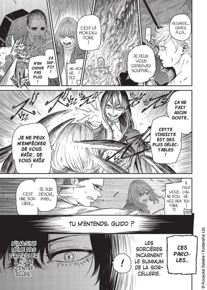 The Witch and the Beast T01