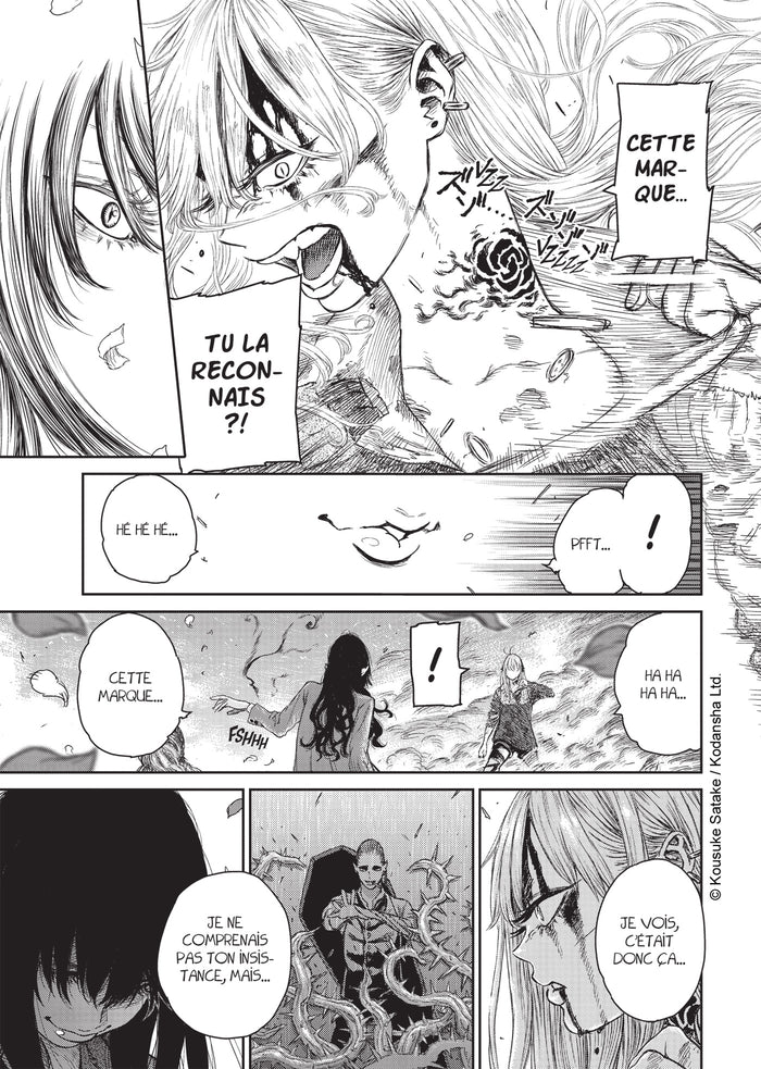 The Witch and the Beast T01