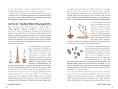 Les saisons de la Wicca