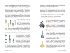 Les saisons de la Wicca