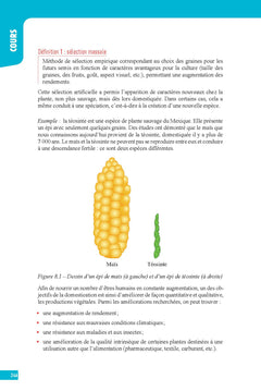 SVT (Sciences de la vie et de la Terre) Terminale - Interros des lycées Tle