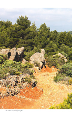Alpilles, les plus belles randonnées