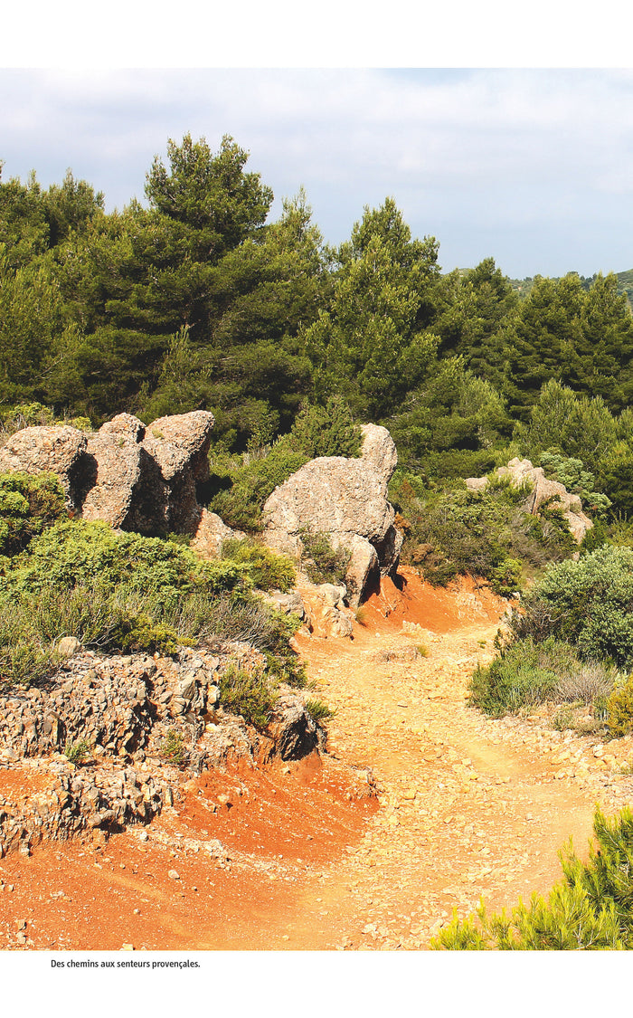Alpilles, les plus belles randonnées