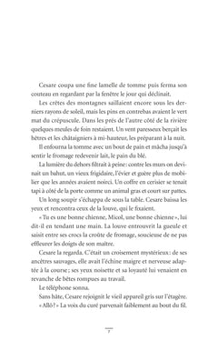 Le mangeur de pierres