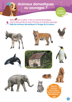 Disney Animaux