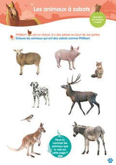 Disney Animaux