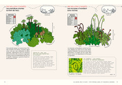 Sensibles par nature