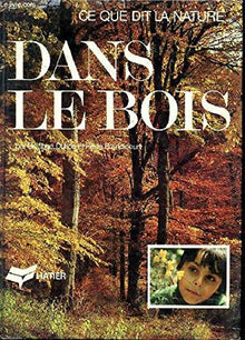 Dans le bois