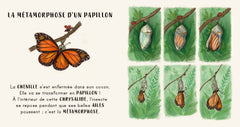Dans ton jardin