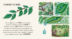 Dans ton jardin