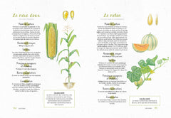 Je fais mon potager dans mon jardin