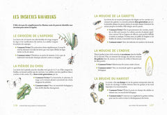Je fais mon potager dans mon jardin