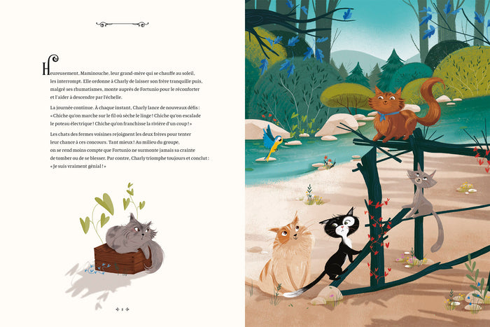 Le Chaton qui avait peur de tout