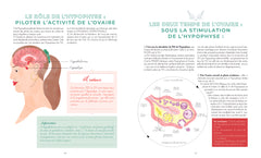 Cycle féminin et contraceptions naturelles