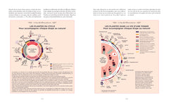Cycle féminin et contraceptions naturelles