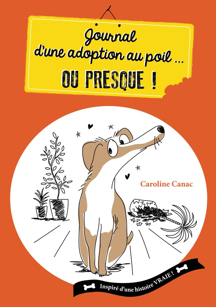 Journal d'une adoption au poil... ou presque