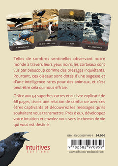 Coffret Oracle du corbeau