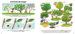 Le jardin