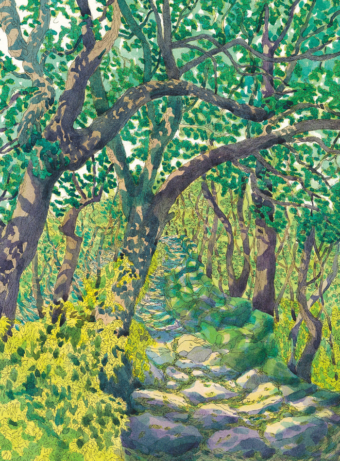 Mon premier bain de forêt