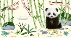 Bonne nuit petit panda