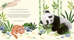 Bonne nuit petit panda