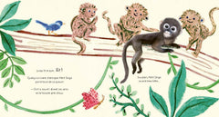 Bonne nuit petit singe
