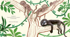 Bonne nuit petit singe