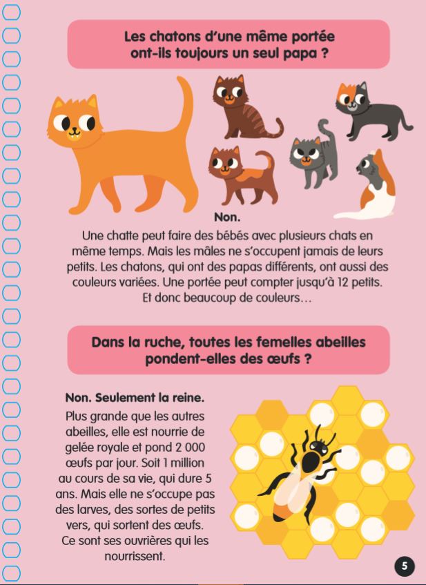 Les bébés animaux
