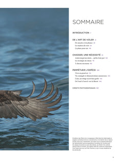 Rapaces, entre ciel et terre