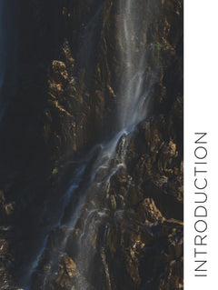 Rapaces, entre ciel et terre