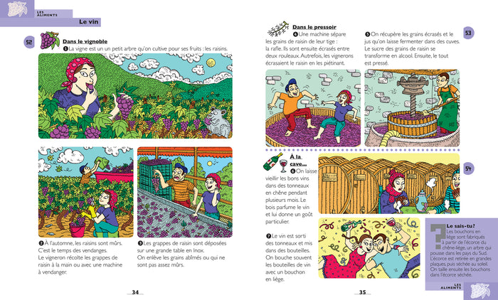 Mon premier Larousse des comment c'est fait ?