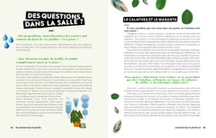 Comment ne pas faire crever ses plantes