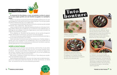 Comment ne pas faire crever ses plantes