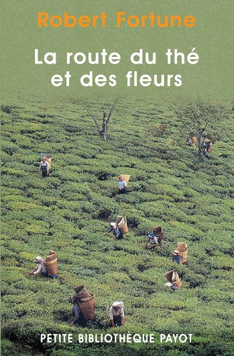La route du thé et des fleurs_1_ere_ed (fermeture et bascule vers 9782228918176)