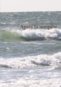 Après la tempête