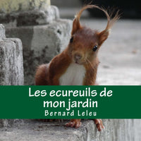 Les ecureuils de mon jardin