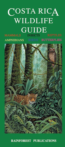 Costa Rica Wildlife Guide