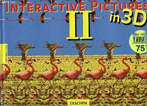 Interactive Pictures II - In 3D